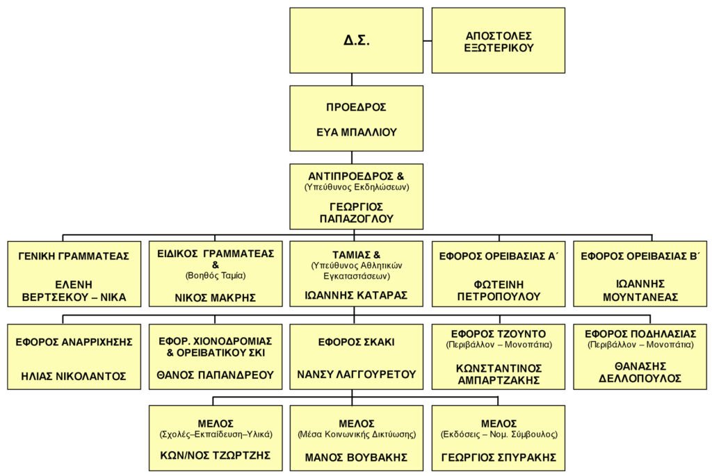 ORGANOGRAMMA DS 2025 NEW 1