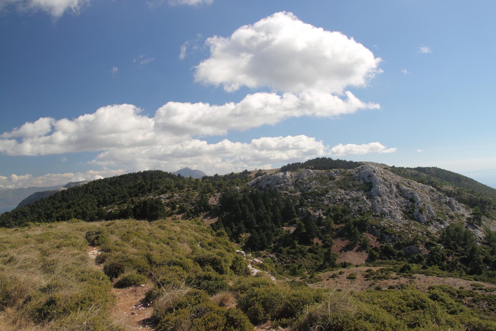 10122025 ΑΓΑΜΠΑΤΙΑΝ ΓΕΡΑΝΕΙΑ scaled