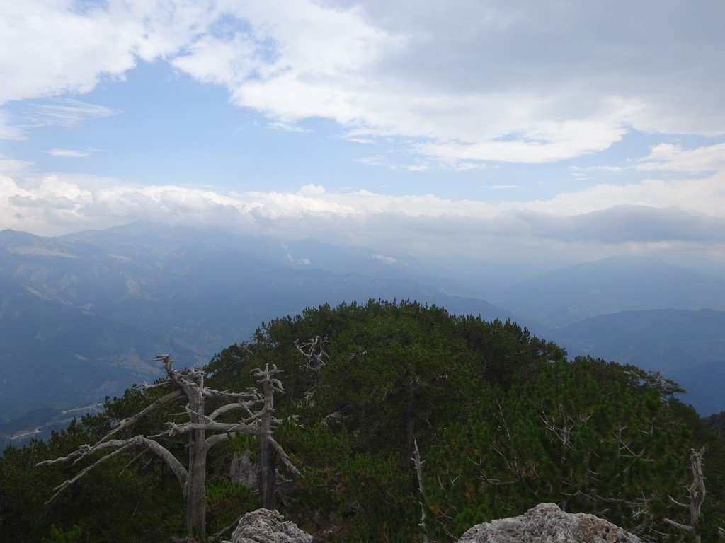 11012025 ΔΕΛΛΟΠΟΥΛΟΣ Κορυφή Τραπεζίτσα
