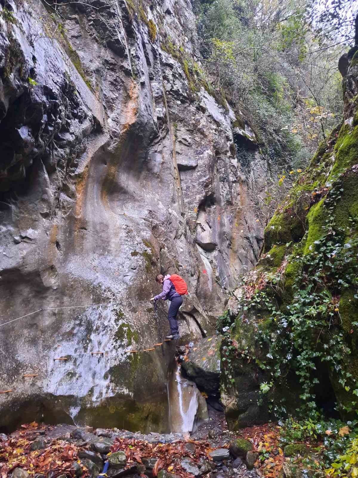 11022025 ΔΗΜΗΤΡΙΟΥ ΦΑΡΑΓΓΙ ΜΥΛΩΝ