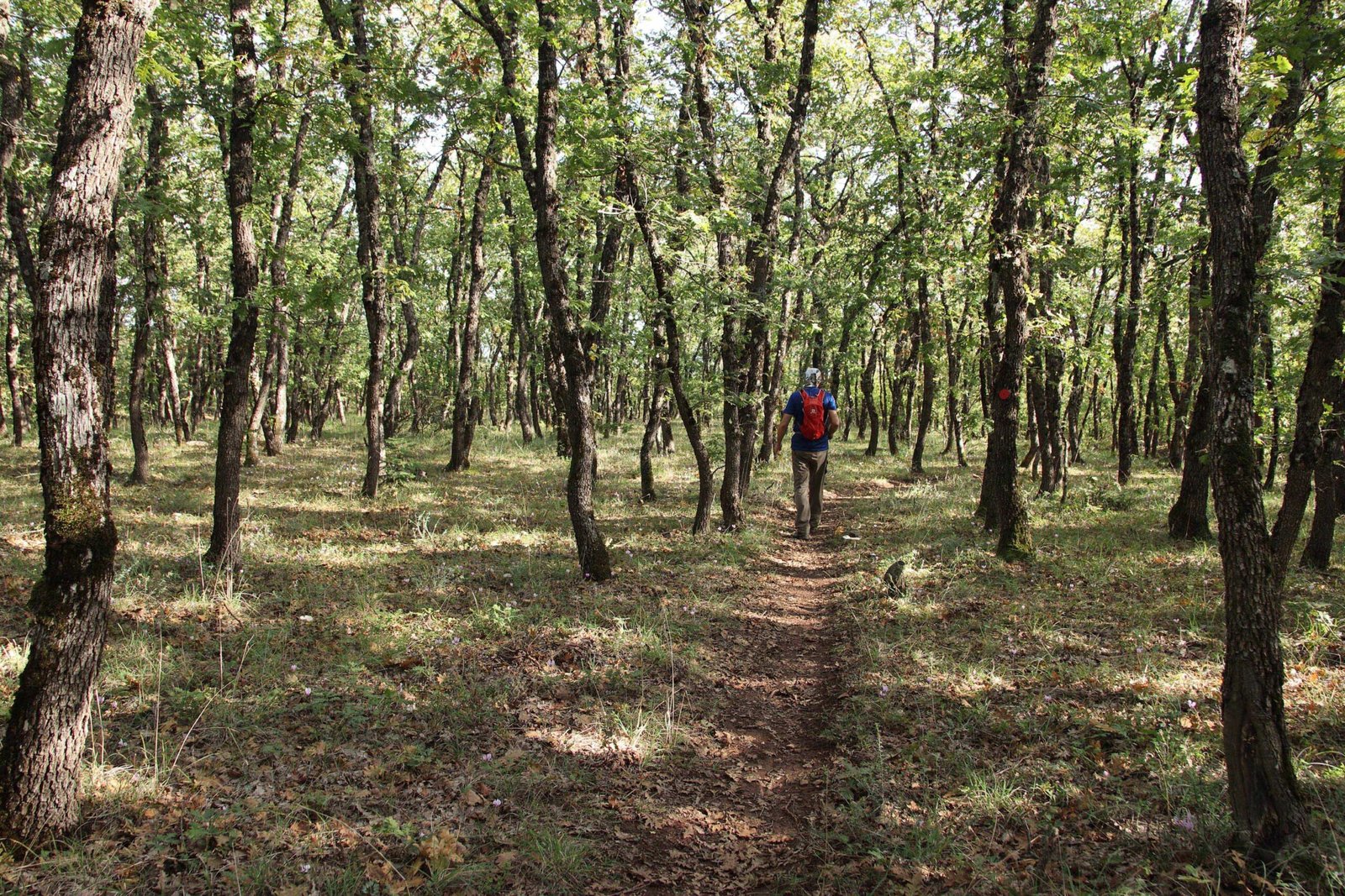 11302025 ΚΑΛΗΜΕΡΗΣ ΑΓΑΜΠΑΤΙΑΝ ΜΟΥΓΓΟΣΤΟΣ scaled