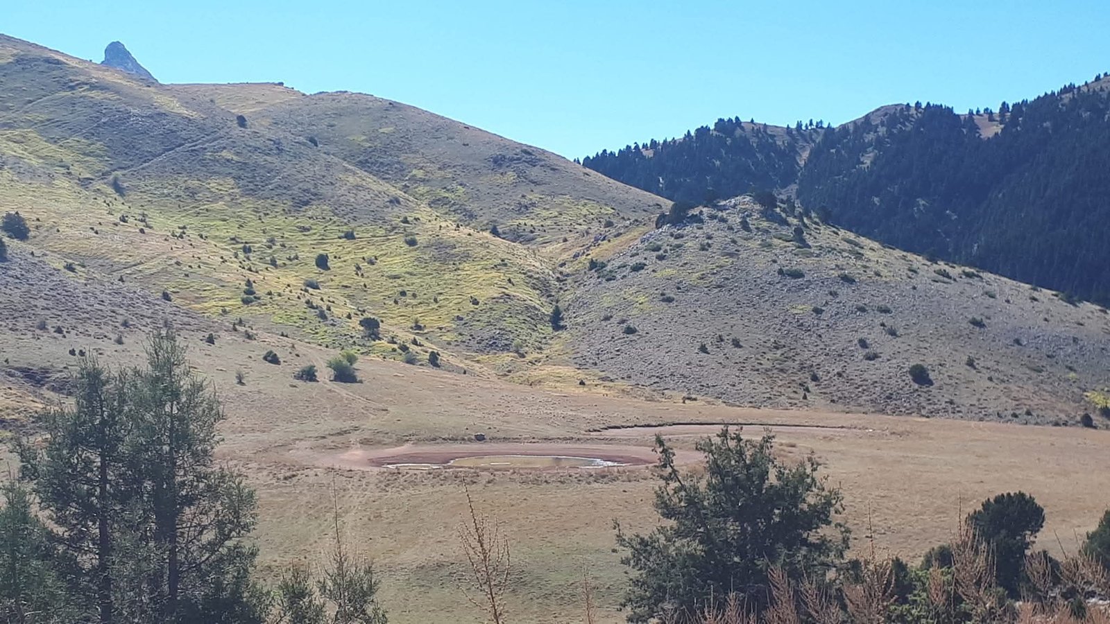 09202025 KIRKOS MARMARA ZIRELIA